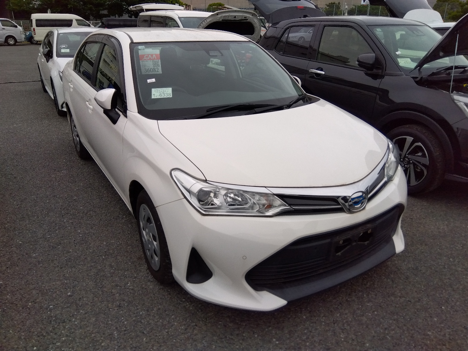 Axio-2020- EX-Push-HYBRID-WHITE