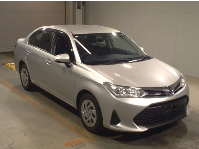 Axio-Hyb-2020-Ex-Push-HYBRID-SILVER